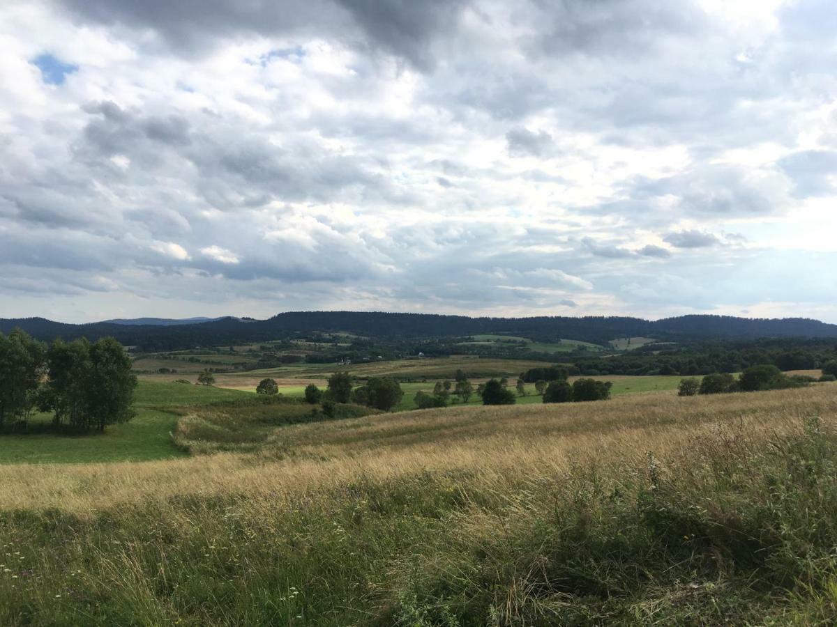 Pokoje u Bożeny i Zbyszka Lipie  Zewnętrze zdjęcie